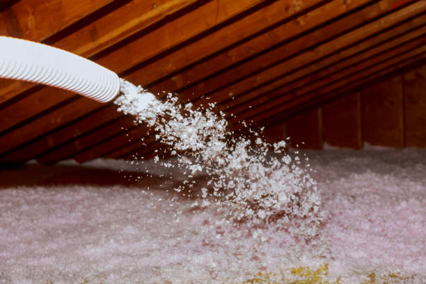 Best Residential Insulation in Okolona, MS