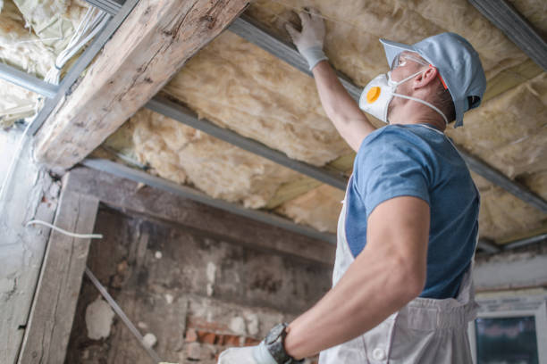 Best Eco-Friendly Insulation in Okolona, MS